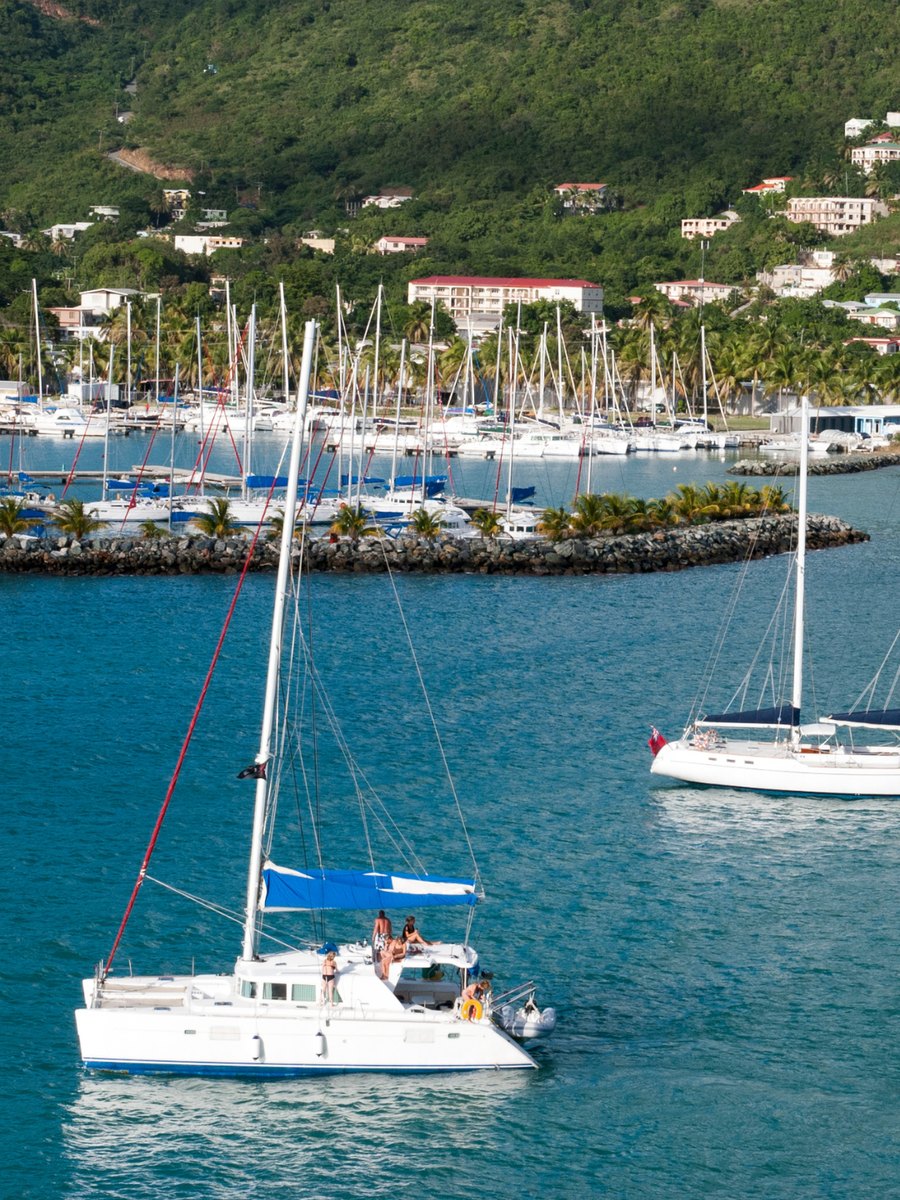 Katamaran vor einer Marina mit Segelbooten und grünen Hügeln