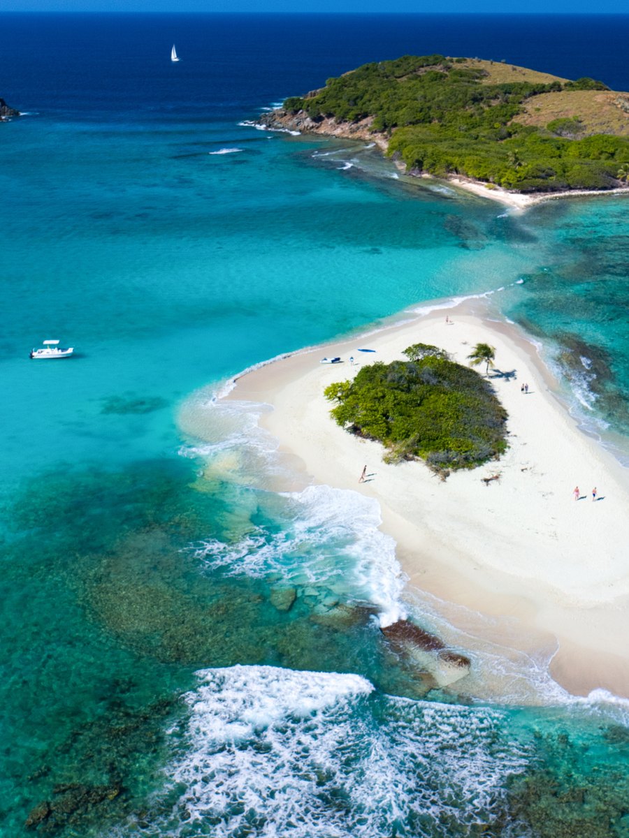 Die kleine Insel Sandy Spit mit weißem Sandstrand und Riff im türkisen Wasser, von oben