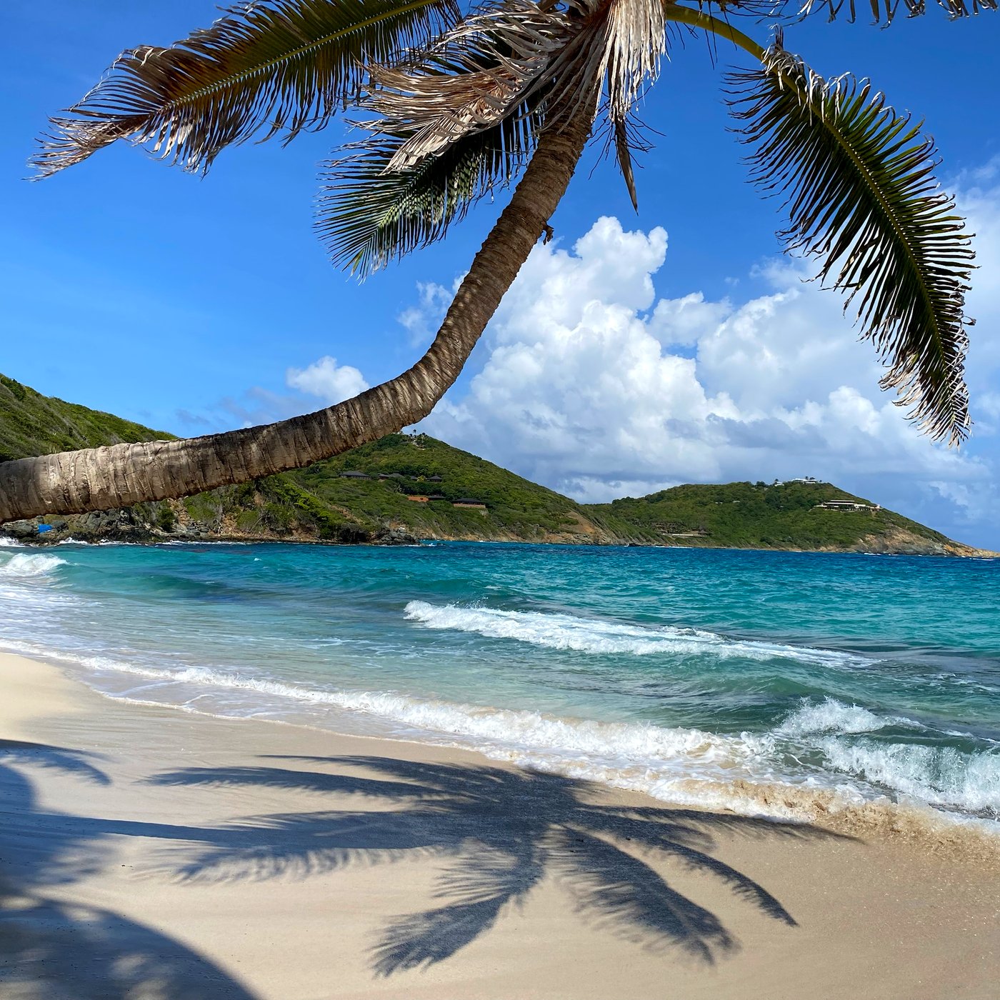 Schräge Palme über weißem Sandstrand und türkisem Meer in der Karibik