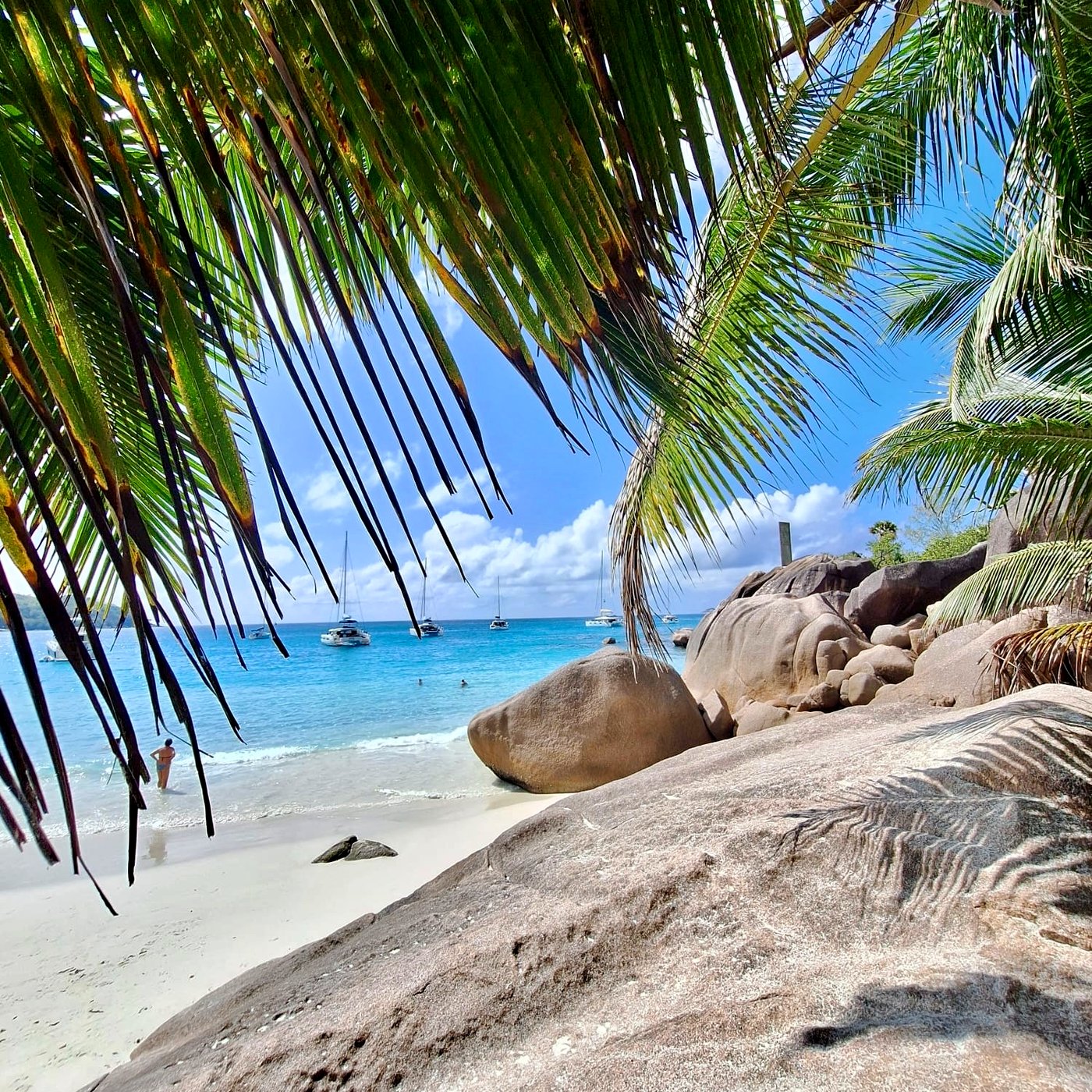Blick unter Palmwedeln auf Granitfelsen, weißen Strand und ankernde Katamarane auf den Seychellen